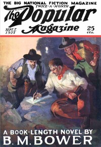 Cover of The Adam Chaser — Themes and Con...