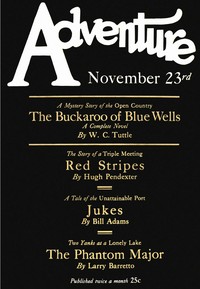Cover of Red stripes — Reading Notes